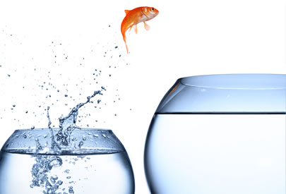 transitioning from CEO