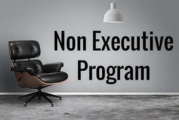 non-executive director program