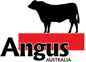 Angus Australia