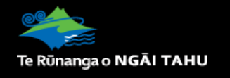 Te Rūnanga o Ngāi Tahu