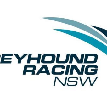 Greyhound Racing NSW Logo
