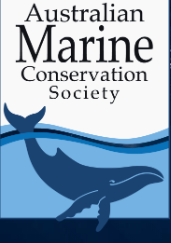 Australian Marine Conservation Society Logo