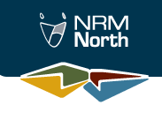 NRM North Logo