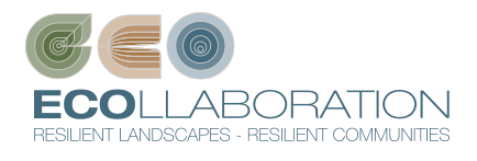 Ecollaboration Logo