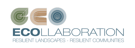 ECOLLABORATION Logo