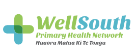 Well South NZ Logo