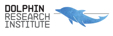 Dolphin Research Institute Logo