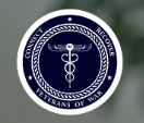 Veterans of Wars Logo