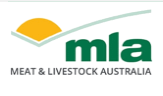 MLA Logo