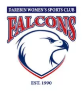 Falcons Logo