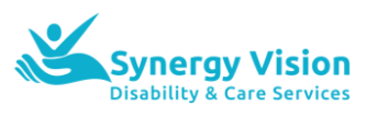 Synergy Vision Logo