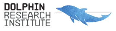 Dolphin Research Institute Logo